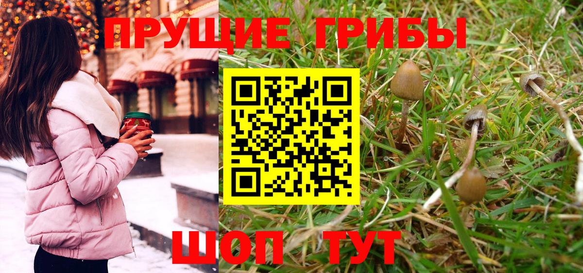 Псилоцибиновые грибы Magic Shrooms Батайск
